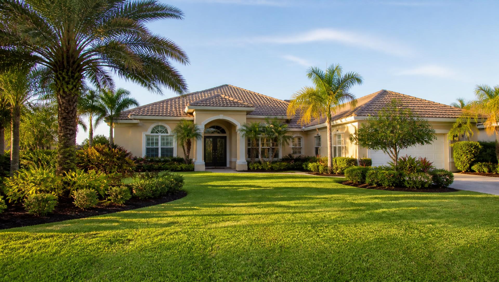 Lawn Care & Maintenance